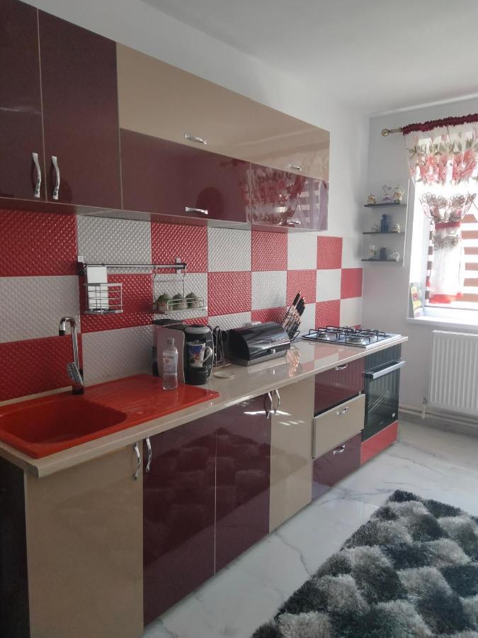 Apartament Geo Nehoiu Exterior foto
