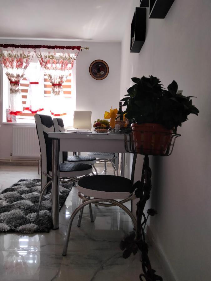 Apartament Geo Nehoiu Exterior foto